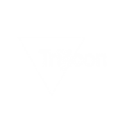 Trijicon any-light aiming systems